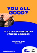 MSE Korero Poster